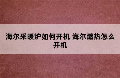 海尔采暖炉如何开机 海尔燃热怎么开机